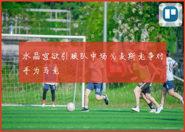 水晶宫欲引狼队中场戈麦斯竞争对手为马竞