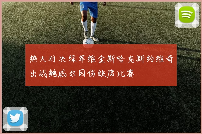 热火对决绿军维金斯哈克斯约维奇出战鲍威尔因伤缺席比赛