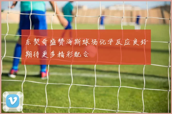东契奇盛赞海斯球场化学反应良好期待更多精彩配合